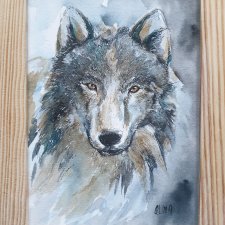 Akwarela ręcznie malowana  wilk +rama