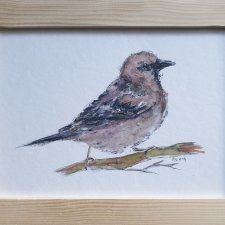 Akwarela ręcznie malowana prezenty ptak + rama