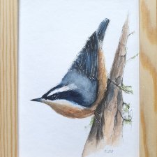 Obraz ręcznie malowany Kowalik ptak +rama