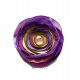 Florarosa
