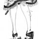 FASHION V