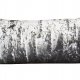 Promocja! KORA brzozy- foto poducha 30x60cm