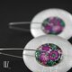 Circles Fuchsia