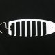 Krawat Design :)