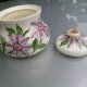 Passiflora hand painted