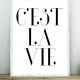 Plakat c'est la vie - A3