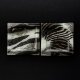 Płaski szklany kwadratowy talerz ZEBRA 17 x 17 cm