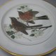 hutschenreuther duży  26,5 cm kolekcjonerski użytkowy  talerz porcelanowy