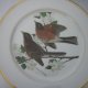 hutschenreuther duży  26,5 cm kolekcjonerski użytkowy  talerz porcelanowy