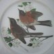 hutschenreuther duży  26,5 cm kolekcjonerski użytkowy  talerz porcelanowy