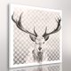 OBRAZ NA PŁÓTNIE 90x90cm  OH DEER