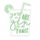 Plakat - You are the gin to my Tonic- A3
