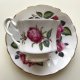 ❀ڿڰۣ❀ ROSES - ROSES ❀ڿڰۣ❀ Royal Windsor  ❀ڿڰۣ❀ Królewska porcelana ❀ڿڰۣ❀ RÓŻANE OGRODY. #3