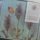 lavender set of 6 luxury cork -backed coasters w oryginalnym opakowaniu nowe