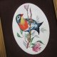 exotic birds - efektowny, rzadko spotykany medalion porcelanowy - obraz  w ramie - oryginalny bardzo dekoracyjny