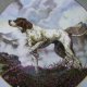 Royal Doulton 1997 "Dogs  in Action" POINTER