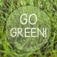 Plakat 50x70 cm - Go green!