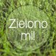 Plakat 100x70 cm - Zielono mi!