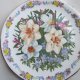 limited edition by Sara Anne Schofield -fields of HOPE collection - Royal GRAFTON - zjawiskowy  kolekcjonerski talerz porcelanowy  BRADEX