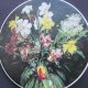 malarski kafel h & R  Johnson ltd made in england