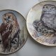 EDWARDIAN - LITTLE OWL - ATHENE NOCTUA - dekoracyjny, kolekcjonerski talerz porcelanowy