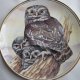 EDWARDIAN - LITTLE OWL - ATHENE NOCTUA - dekoracyjny, kolekcjonerski talerz porcelanowy