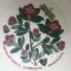 Rhododendron ❀ڿڰۣ❀ PORTMEIRION  BOTANIC GARDEN ❀ڿڰۣ❀ Pojemnik - miseczka ❀ڿڰۣ❀ Markowa i poszukiwana ❀ڿڰۣ❀ IDEALNA - NIEUŻYWANA!