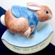 ❀ڿڰۣ❀ BEATRIX POTTER - Peter Rabbit ❀ڿڰۣ❀ Skarbonka ❀ڿڰۣ❀ Ręcznie malowana ❀ڿڰۣ❀ Plastyczna i realistyczna