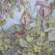 Royal GRAFTON - Sue WYATT -  uroczo botaniczny  -kolekcjonerski,   użytkowy  I dekoracyjny talerz porcelanowy