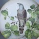 LIMOGES FRANCE 1984  - CUCKOO  - LIMITED FIRST EDITION CRAFTED FOR FRANKLIN PORCELAIN  BY HAVILAND  LIMOGES FRANCE