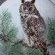 LIMOGES FRANCE 1984  - LONG-EARED  OWL  - LIMITED FIRST EDITION CRAFTED FOR FRANKLIN PORCELAIN  BY HAVILAND  LIMOGES FRANCE