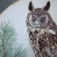 LIMOGES FRANCE 1984  - LONG-EARED  OWL  - LIMITED FIRST EDITION CRAFTED FOR FRANKLIN PORCELAIN  BY HAVILAND  LIMOGES FRANCE