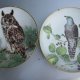 LIMOGES FRANCE 1984  - LONG-EARED  OWL  - LIMITED FIRST EDITION CRAFTED FOR FRANKLIN PORCELAIN  BY HAVILAND  LIMOGES FRANCE