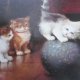 Nówka  Pocztówka -THE CAT COLLECTION - A BALANCING ACT   BY LEON CHARLES  HUBER ( 1858 - 1928 ) FINE ART