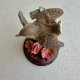 ❀ڿڰۣ❀ ROYAL DOULTON ROOM ❀ڿڰۣ❀ Country Artists ❀ڿڰۣ❀ Ptaszek jak żywy ❀ڿڰۣ❀