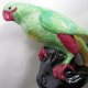 WESTMINSTER HANLEY 1940 - 1959 Duża 22 cm   Efektowna ręcznie malowana papuga  - doskonały prezent dla adwokata; )
