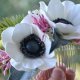 grzebyk do włosów "Anemone flower"