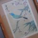 St. Michael -CHINESE BIRD- reproduction was adapted a water-colour painted on silk - Marks & Spencer 2169/5500