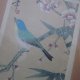 St. Michael -CHINESE BIRD- reproduction was adapted a water-colour painted on silk - Marks & Spencer 2169/5500