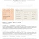 SZABLON CV | WZÓR CV | PROJEKT CV | CURRICULUM VITAE | "Davies"