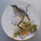 Royal GRAFTON - ptasio zdobiony - użytkowy  I dekoracyjny talerz porcelanowy