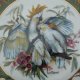 shirnding bavaria 1994  Ursula Brand  Kolekcjonerski talerz porcelanowy bradex