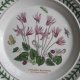 Portmeirion pottery Botanic Garden designer by Susan Williams ellis dawna edycja kolekcjonerska użytkowa