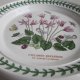 Portmeirion pottery Botanic Garden designer by Susan Williams ellis dawna edycja kolekcjonerska użytkowa