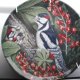 WEDGWOOD -fledglings by Dick Twinney - kolekcjonerski talerz porcelanowy