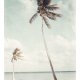 PALM VINTAGE FOTOGRAFIA PLAKAT A3 / 30 X 40