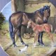 ROYAL WORCESTER by Donna Crewshaw limited edition 1991 -the new arrival - KOLEKCJONERSKI TALERZ PORCELANOWY bradex