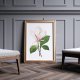 Plakat magnolia kwiat vintage A4