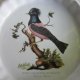 Unikat !!! PORTMEIRION ENGLISH BIRDS - NACZYNIE DO ZAPIEKANIA -kolekcjonerskie użytkowe dekoracyjne