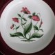 Wedgwood Mayfield Ruby kolekcjonerska użytkowa oryginalna forma z at 60-ych oryginał vintage